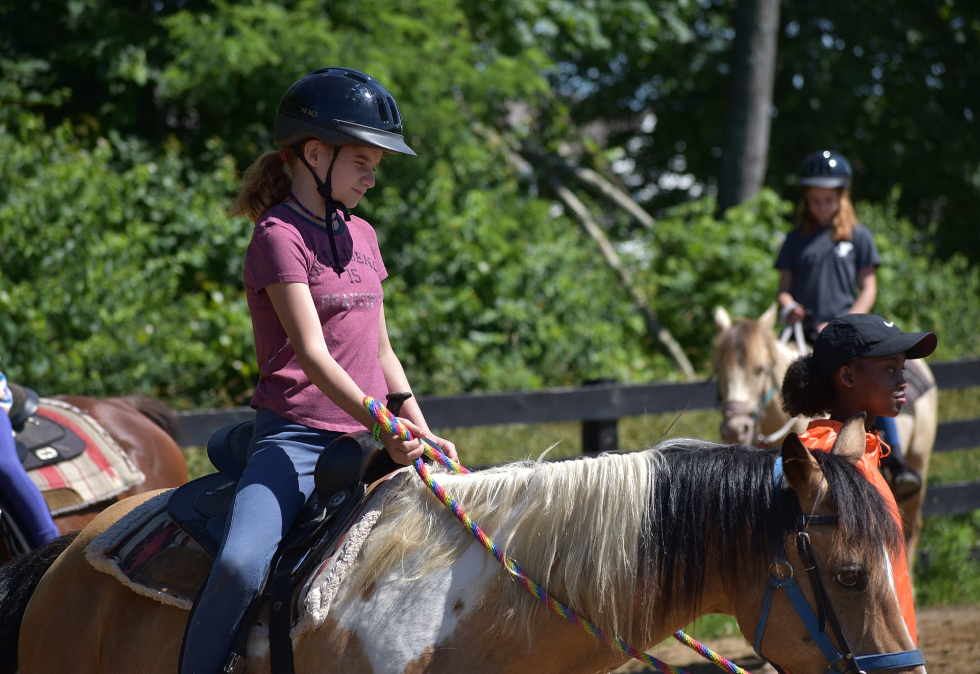 Arena Lesson Daisy