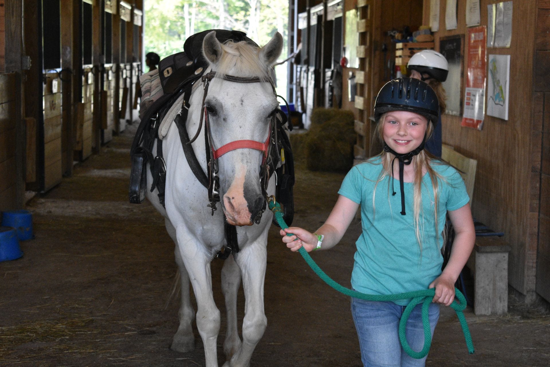 Leading Buddy In The Barn